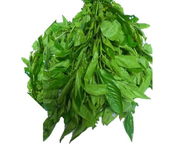 Fresh Ewedu Leaves