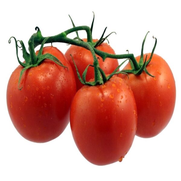 Fresh Vine Tomatoes